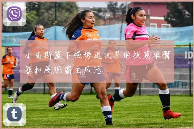 小南斯篮下强势进攻旱地拔葱单臂暴扣展现霸主风范