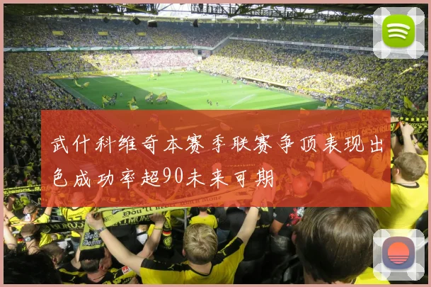 武什科维奇本赛季联赛争顶表现出色成功率超90未来可期
