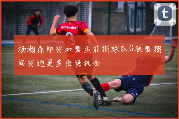 杨瀚森即将加盟孟菲斯球队G联盟期间将迎更多出场机会