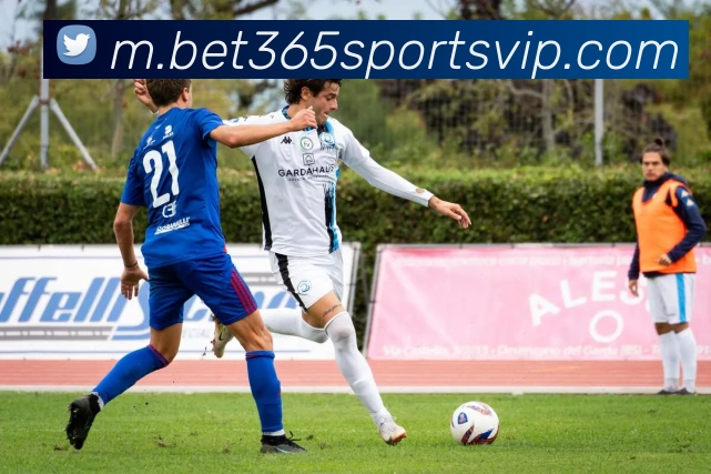 365体育平台生态图